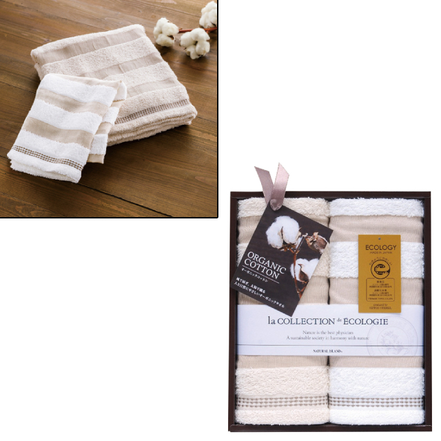 ��B�C���f�B�A�I�[�K�j�b�NII�@�t�F�C�X�^�I��2���Z�b�g