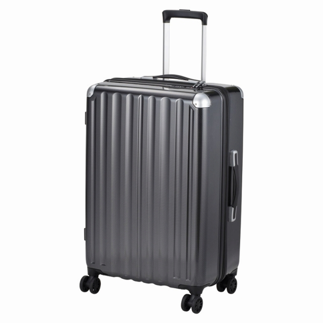 �X�[�c�P�[�X 66L