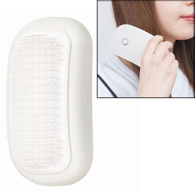 ���t�B�[���� �d���w�A�u���V