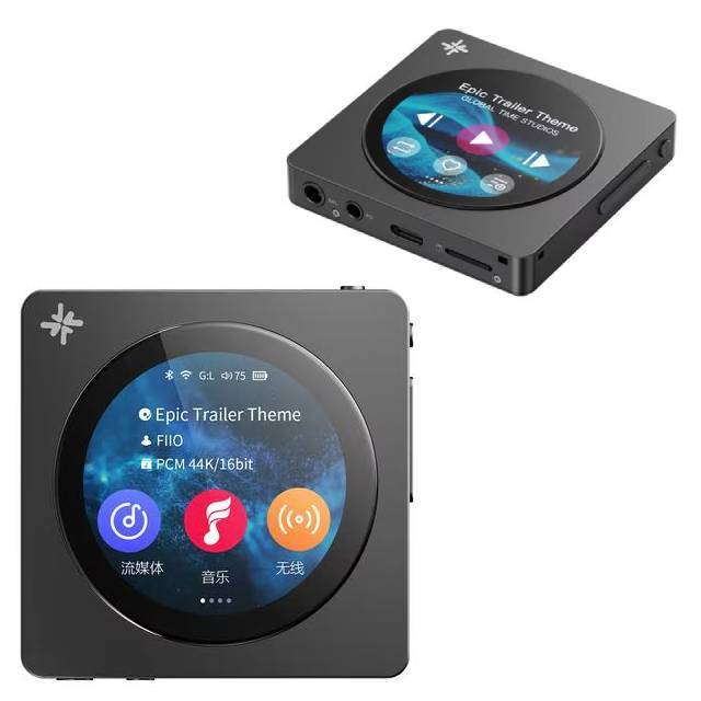 FIIO �f�W�^���I�[�f�B�I�v���[���[ LDAC�Ή� FIO-SSDISC
