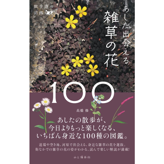 U̐}Ӂ@oG̉100