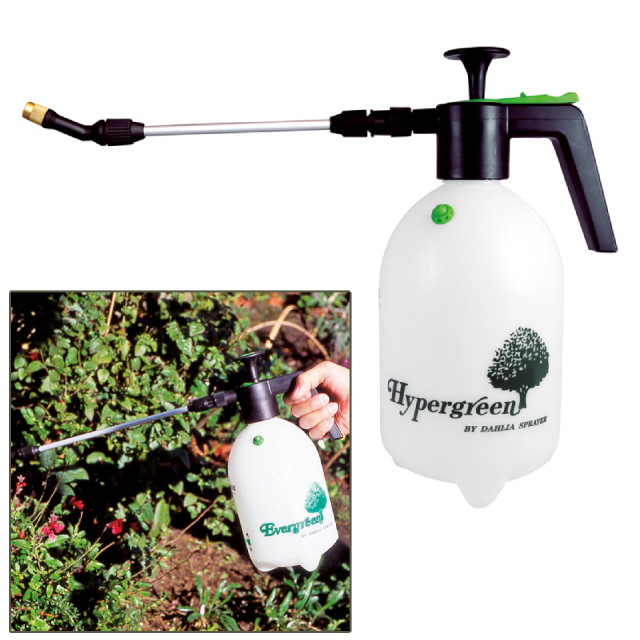 �S�����}�C�X�^�[