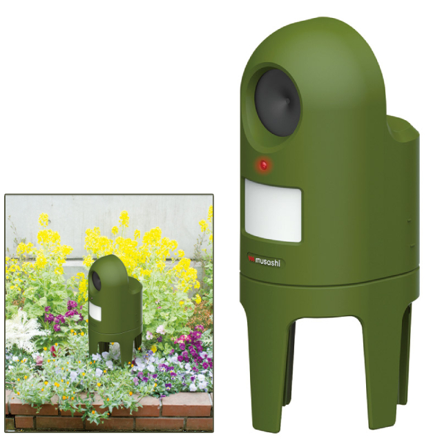 �L������