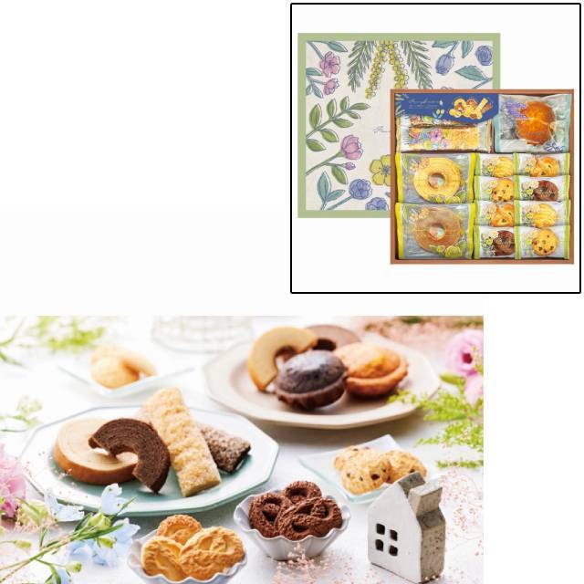 �t�F�A���[�K�[�f�� �x�C�N�h�X�C�[�c�i13�j