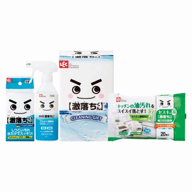 レック 激落ちくんセット