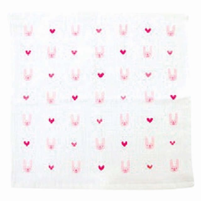 ◇Ag+除菌ふきん