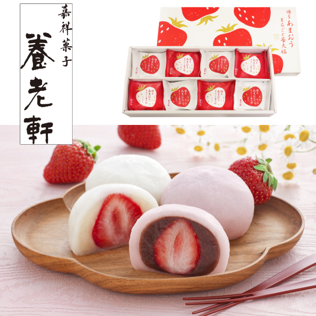 ���s �{�V�� �������܂��� �܂邲��䕑啟