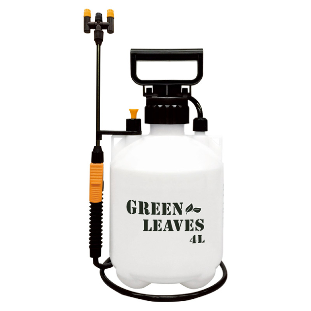 ������4L �O���[�����[�u�X�i�񓪌��j