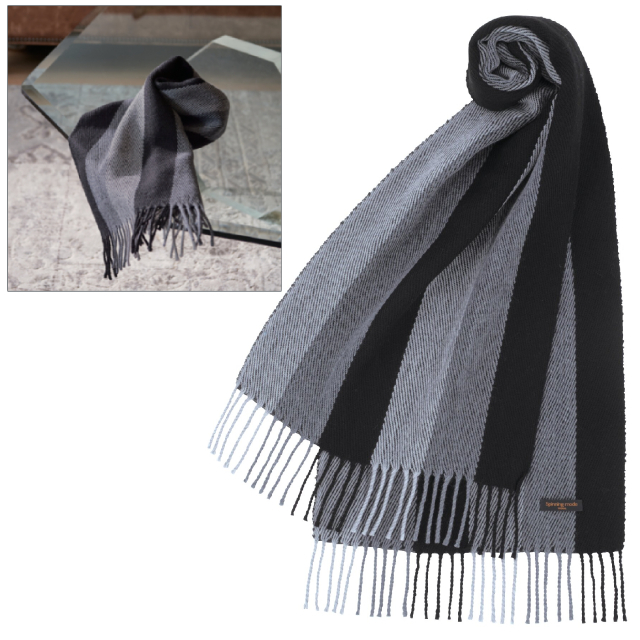 ���B�D�Z �E�[���}�t���[�i�O���f�[�V�����X�g���C�v�j